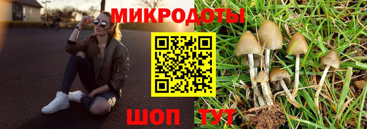 Лениногорск  Псилоцибиновые грибы Cubensis  Вход с VPN 